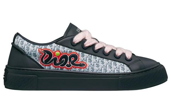 Dior And Kaws B33 Spin Sneaker "Limited And Numbered Edition"