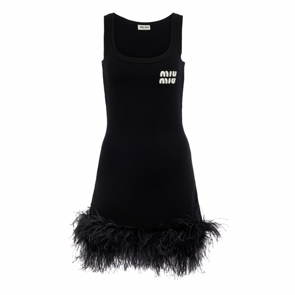 Robe Miu Miu à plumes – Accessorio premium elegante