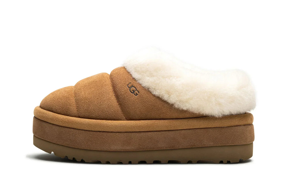 TAZZLITA Chestnut – Accessorio premium elegante