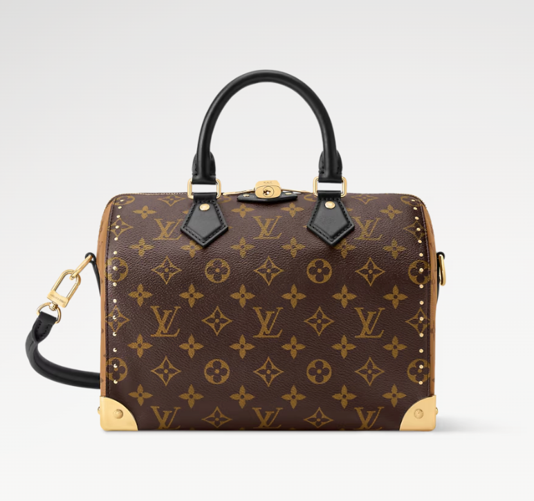 Speedy Trunk 25 – Accessorio premium elegante
