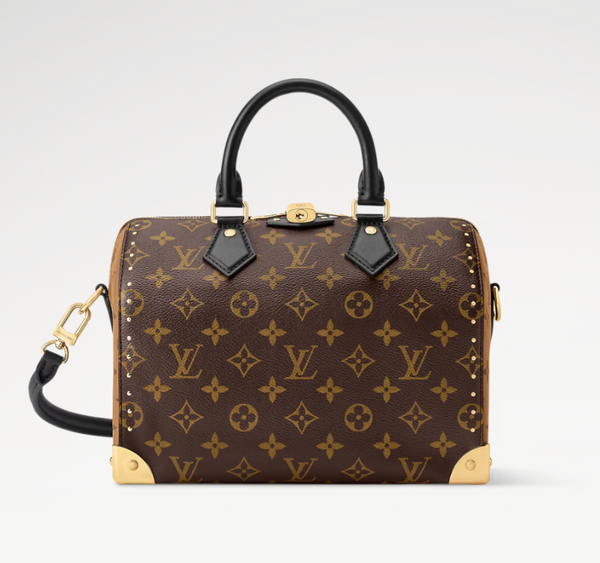 Speedy Trunk 25 – Accessorio premium elegante